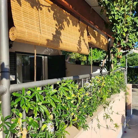 Dijana * بودغورا